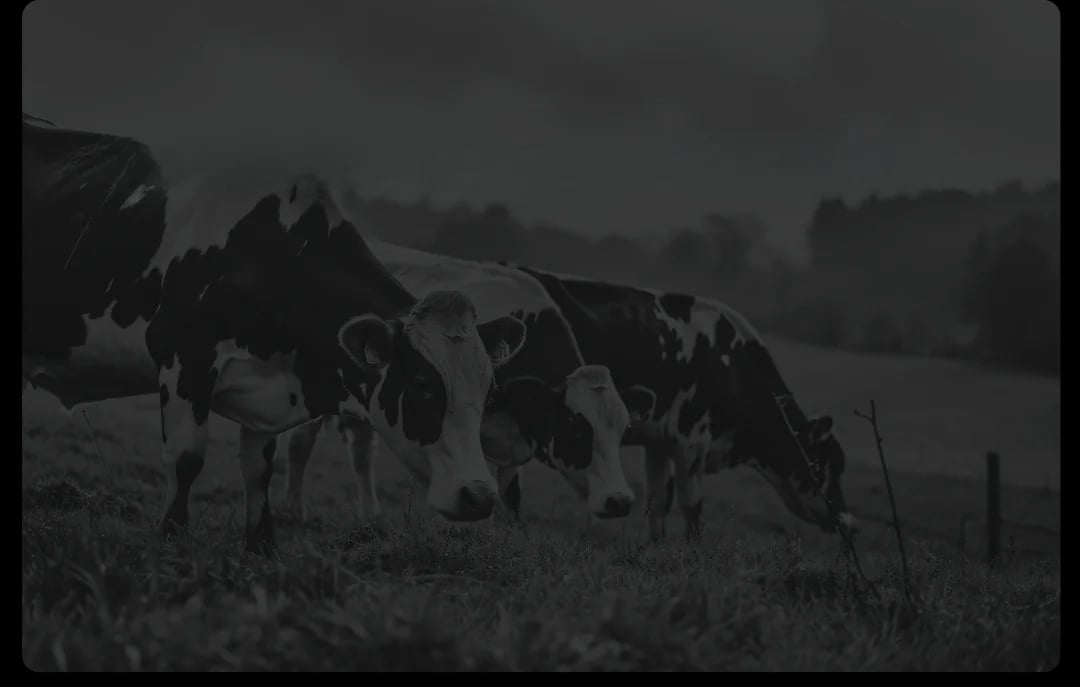 Trust your ancestor DNA