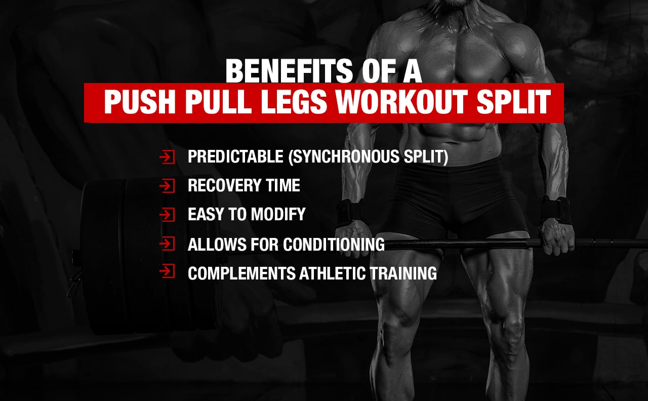 The Push Pull Leg Split Routine Explained: How to Train Smarter