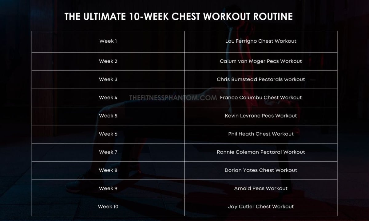 Beginner Chest Workout Plan