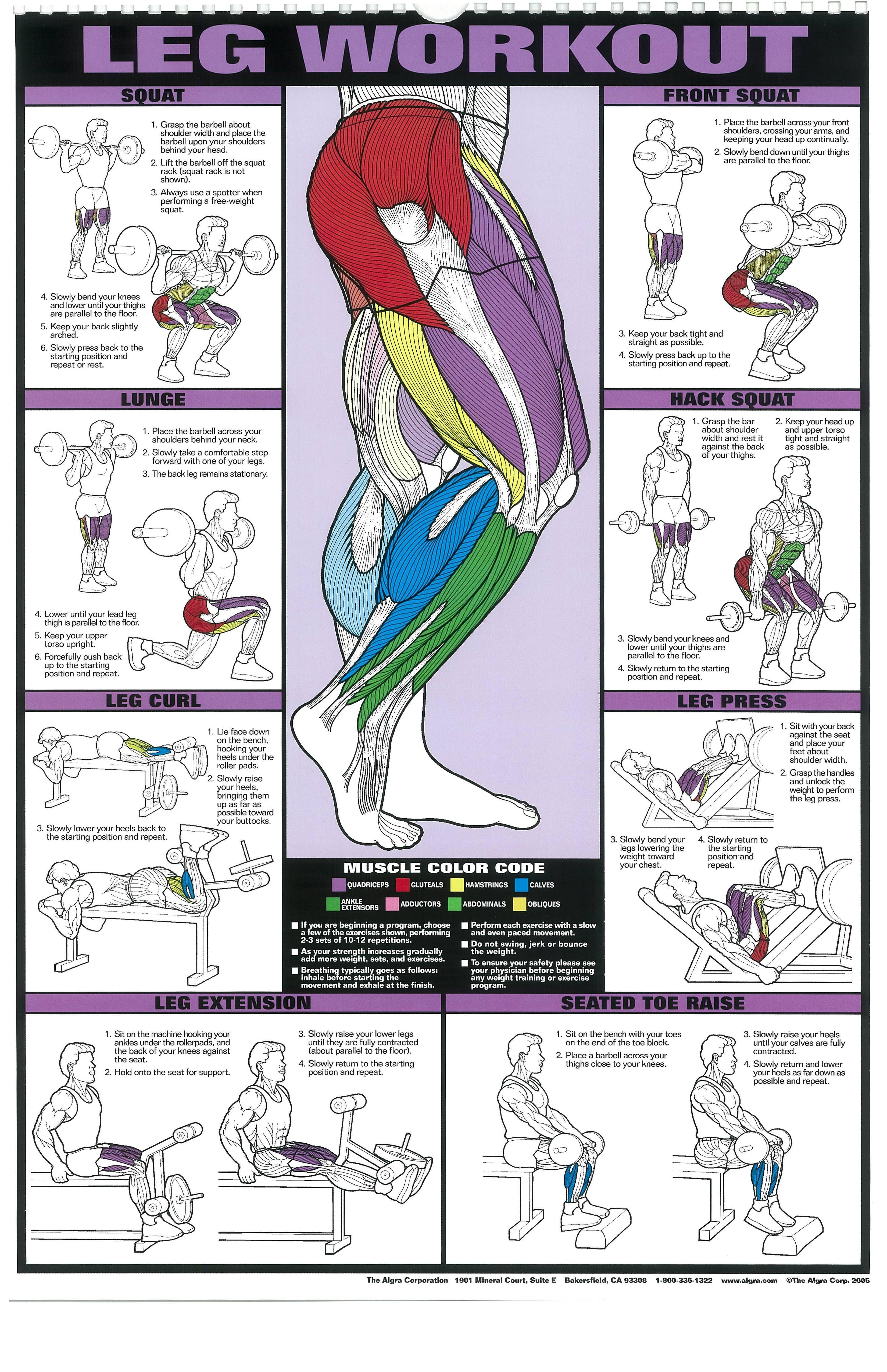 leg workout - original-body